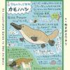 図解 なんかへんな生きもの | ぬまがさワタリ(絵・文) |本 | 通販 | Amazon