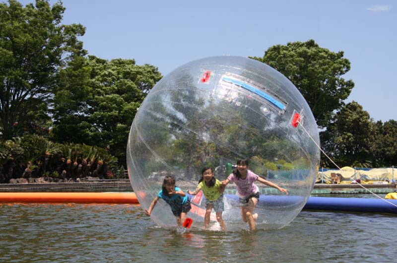 夏の伊豆は”ウォーターランド ぷるぷる”で水遊び！伊豆ぐらんぱる公園に巨大水遊びゾーン誕生！
