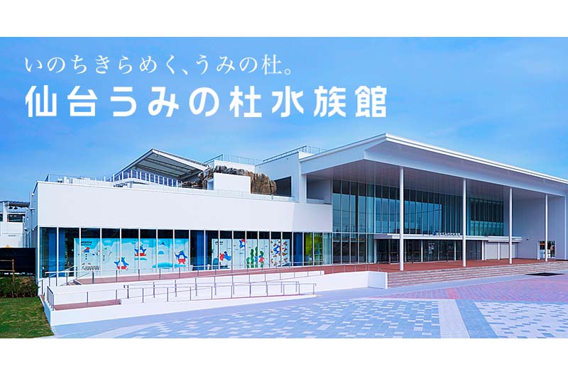 2015年オープン”仙台うみの杜水族館”へ行こう！夏休みは三陸の水族館で涼しく楽しむ