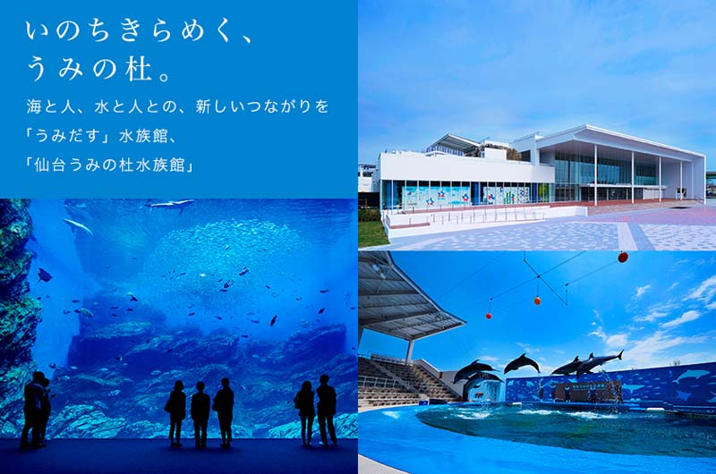 2015年オープン”仙台うみの杜水族館”へ行こう！夏休みは三陸の水族館で涼しく楽しむ