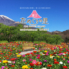 富士花めぐりの里今夏オープン富士山２合目の花畑で休日を！ドライブの立ち寄り先アクセスと過ごし方は？