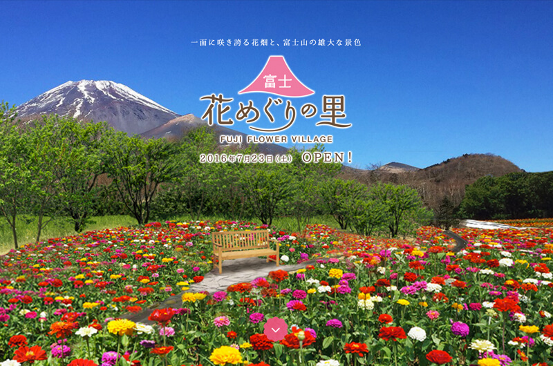 富士花めぐりの里今夏オープン富士山２合目の花畑で休日を！ドライブの立ち寄り先アクセスと過ごし方は？